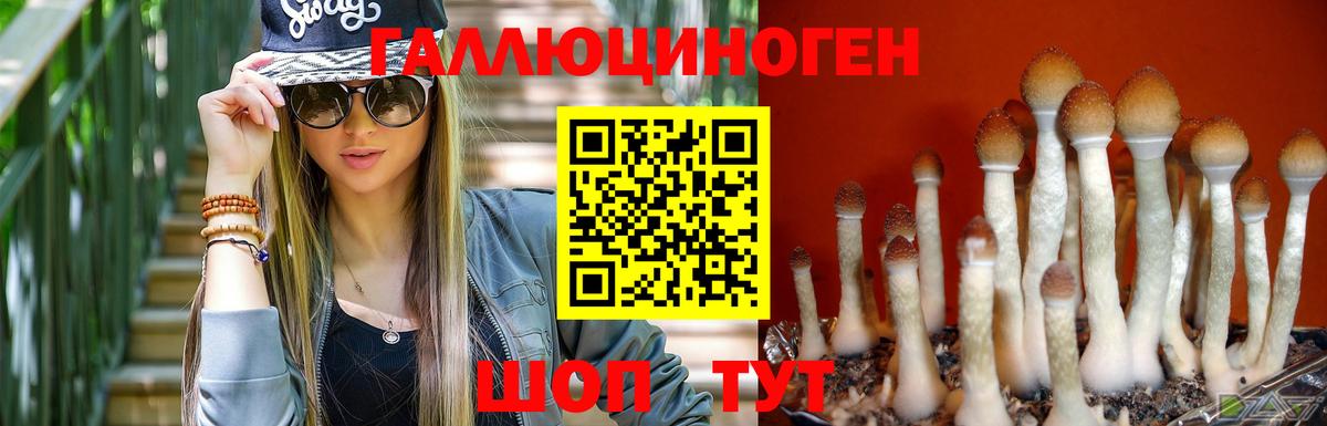Псилоцибиновые грибы Magic Shrooms Муром